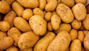 Submission requirements have been changed for TPS potato